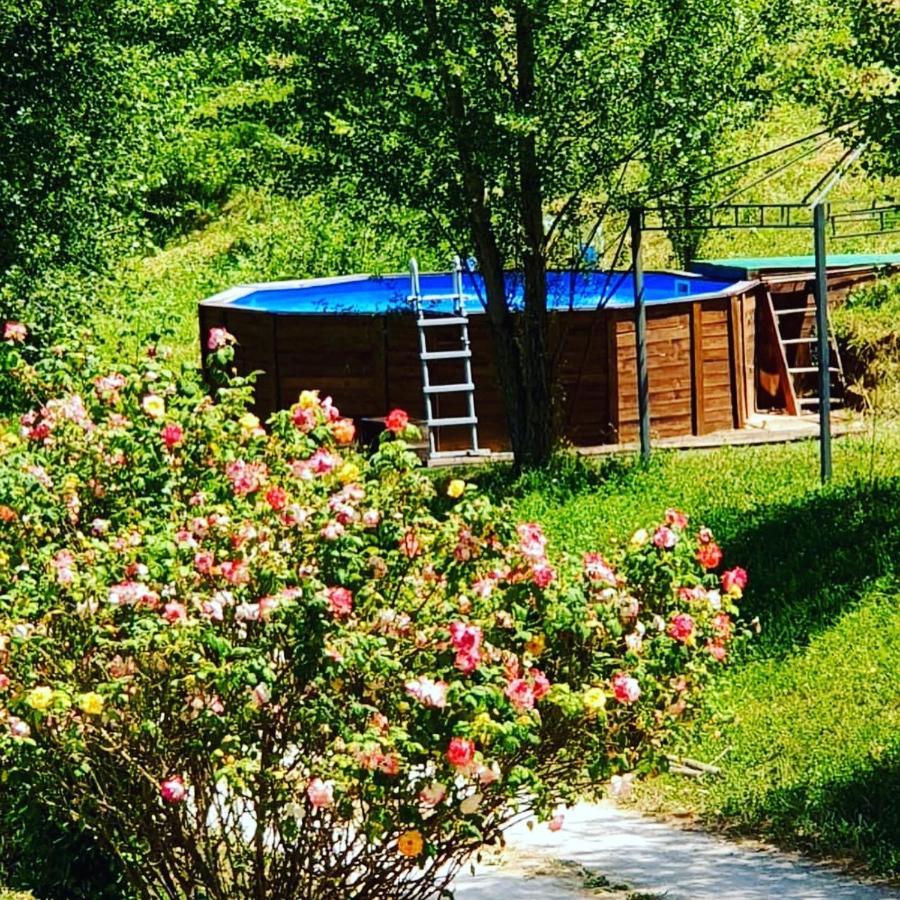 Villa Agriturismo Il Covo Del Solengo Valtopina Exterior foto