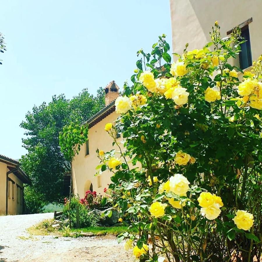 Villa Agriturismo Il Covo Del Solengo Valtopina Exterior foto