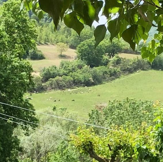 Villa Agriturismo Il Covo Del Solengo Valtopina Exterior foto